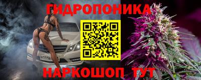 прущие крисы Ипатово